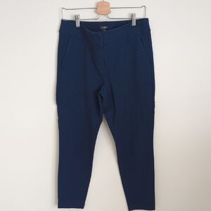 LOFT Women's Navy Pants